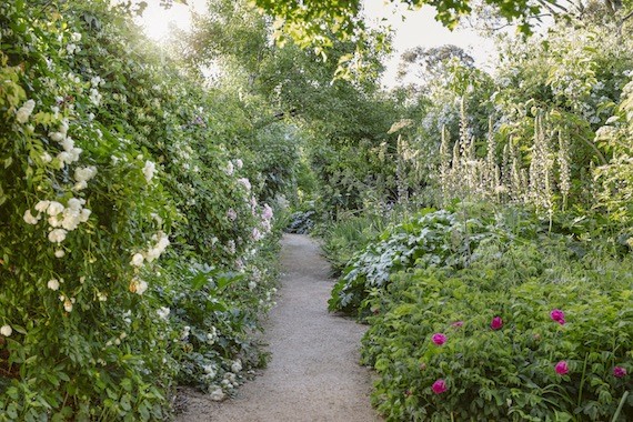 A pathway surrounded by flowers in the Healing Garden