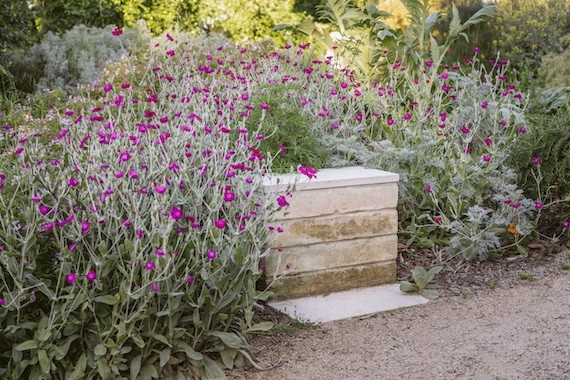 A bush of pink flowers around a limestone seat in the Heidi's healing garden.