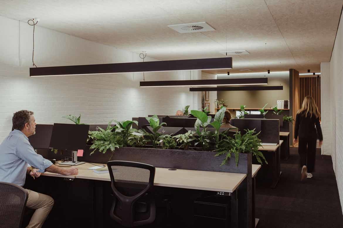 A few rows of desks separated by green plants with people sitting at them in the ERA office by Cumulus.