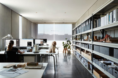 10 pet friendly workplaces that deserve design kudos