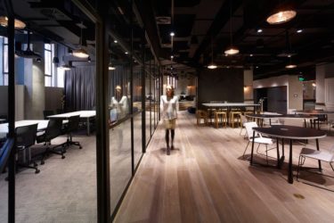 The wood that could (…make you healthier!)