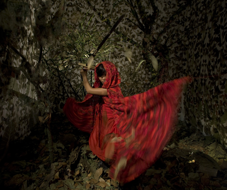 Art Stage Singapore Announces its 2013 Programme