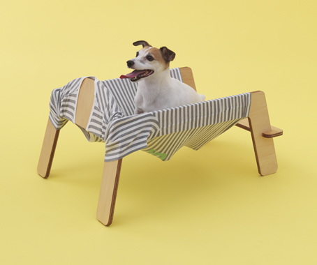 Architecture for Dogs