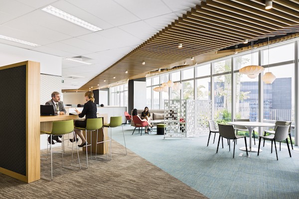 Reporting on Regional Wellness in the Workplace