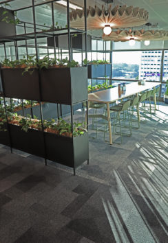 Milliken Ontera Kimberly Clark 40 244x354