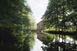 What Nikari reveals about Finnish design and its love of wood