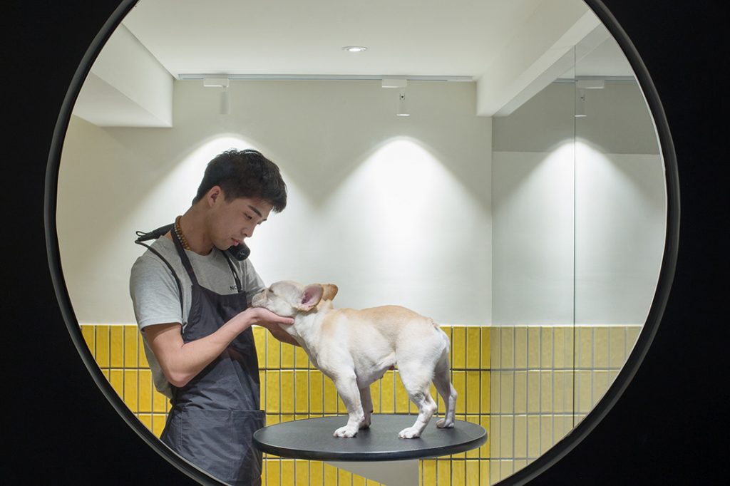 Your pets dream vacation