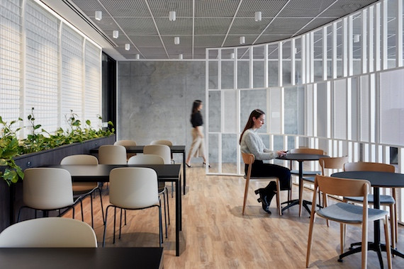 Qbe Building How staff input shaped the design of three new QBE offices | IndesignLive