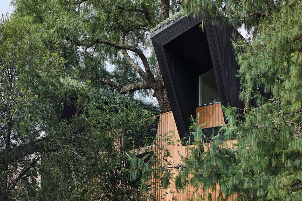 Moving Australia towards net zero: The winners of Sustainability Awards 2022