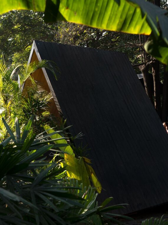 Studio Renesa designs TuBu | Indesignlive
