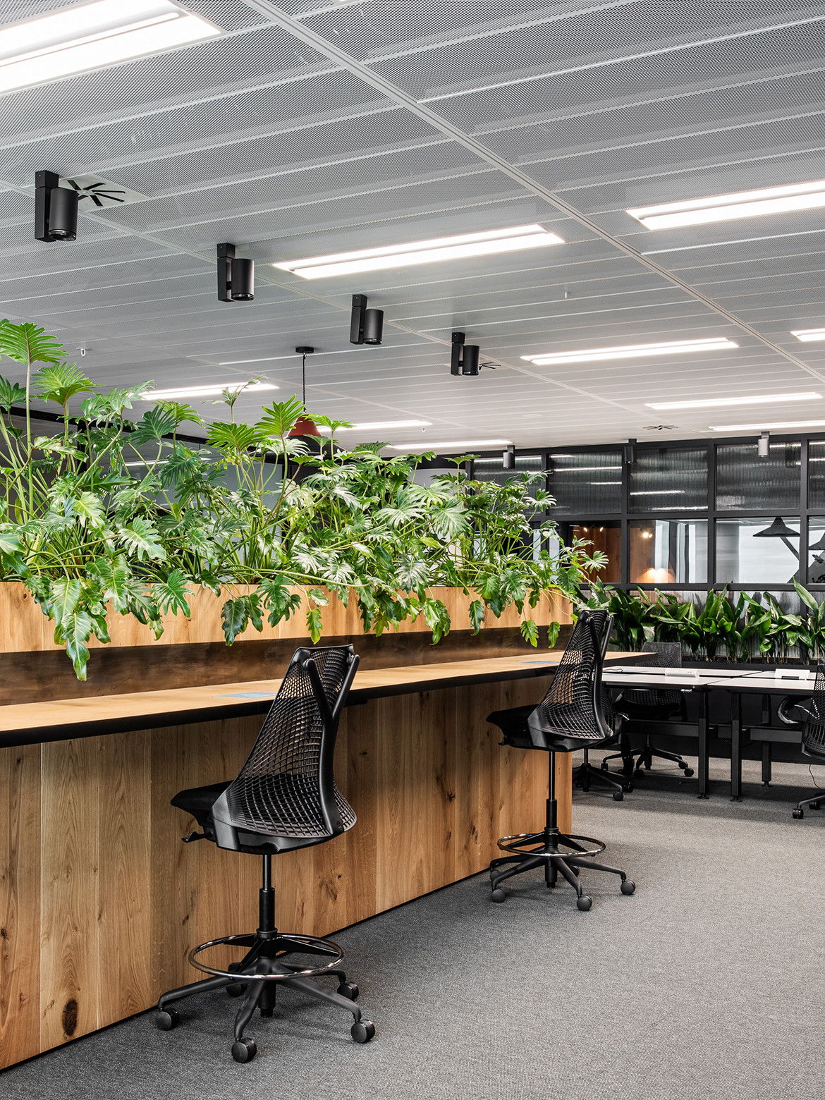 techne indesign workplace