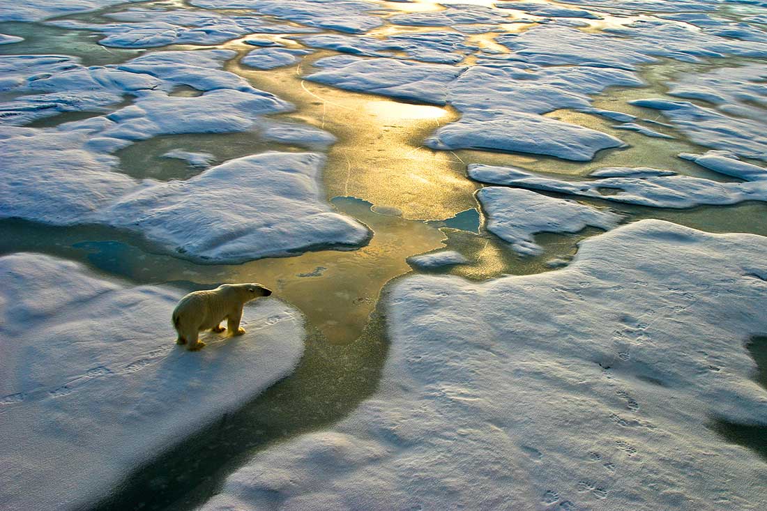 Two technologies available today to resolve climate change