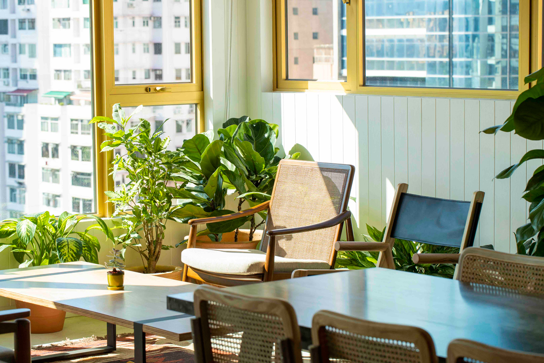 The Nate Presents Studio Living 2.0
