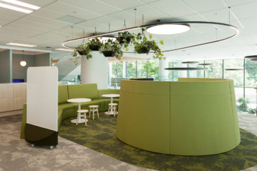 Whale Song modular carpeting hits a sustainable note for Southern Cross