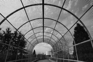 Woven Wire Mesh