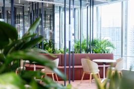 Mangrove garden: Bean Buro reimagines corporate culture in Hong Kong