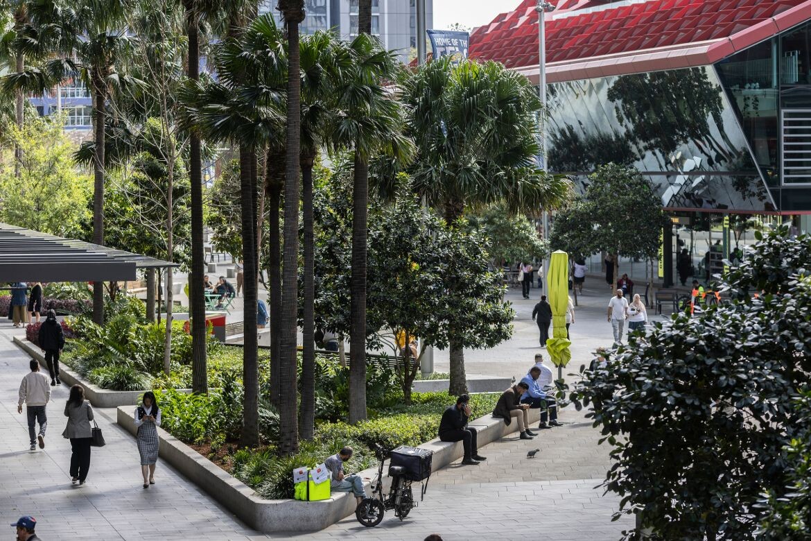 Parramatta, Barangaroo and Surry Hills projects lead NSW’s best landscapes