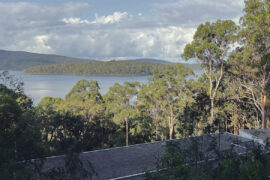 Anthony Gill and Jason Gibney on urban density and bushfire resilience