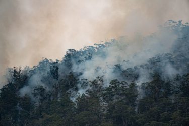 Bushfires, floods and future-proofing Australia’s built environment