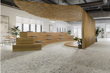 Curate a beautiful buzz with the Pathmakers Collection