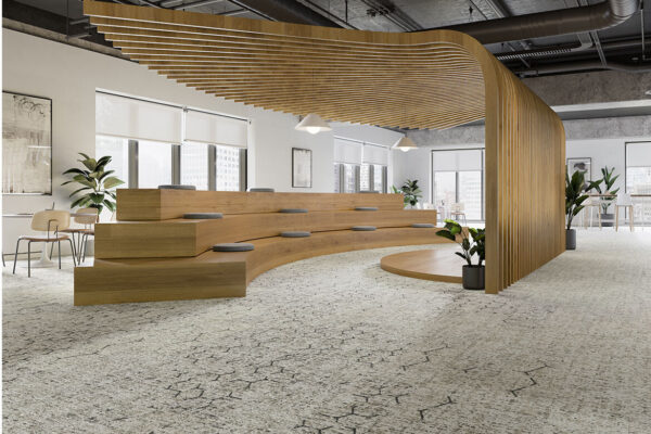 Curate a beautiful buzz with the Pathmakers Collection