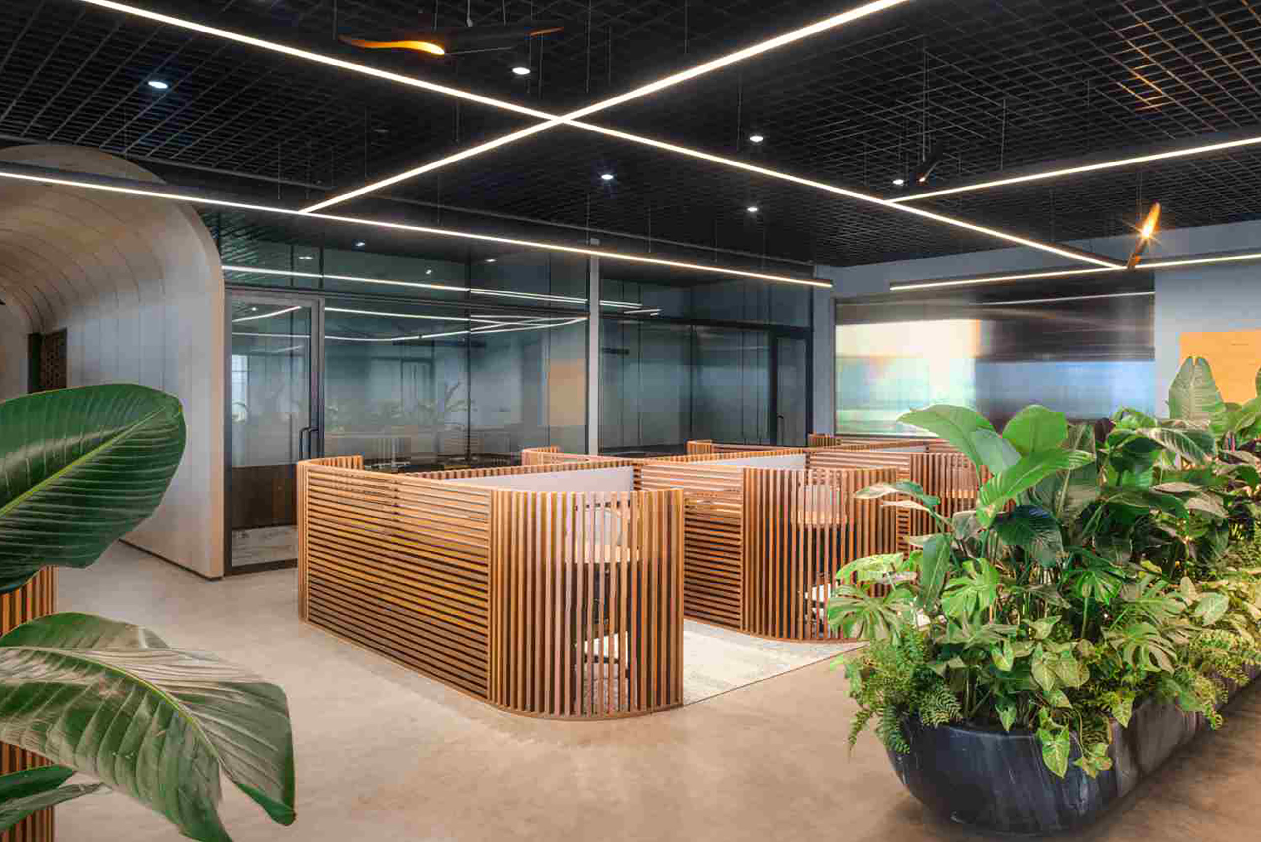 The butterfly workplace